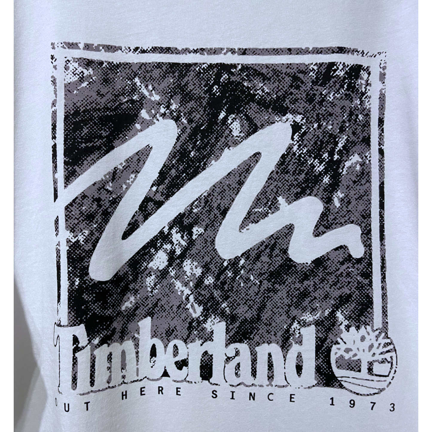 Timberland
MOUNTAINS CAMO PRINTED STACK LOGO - Print T-shirt - vintage white