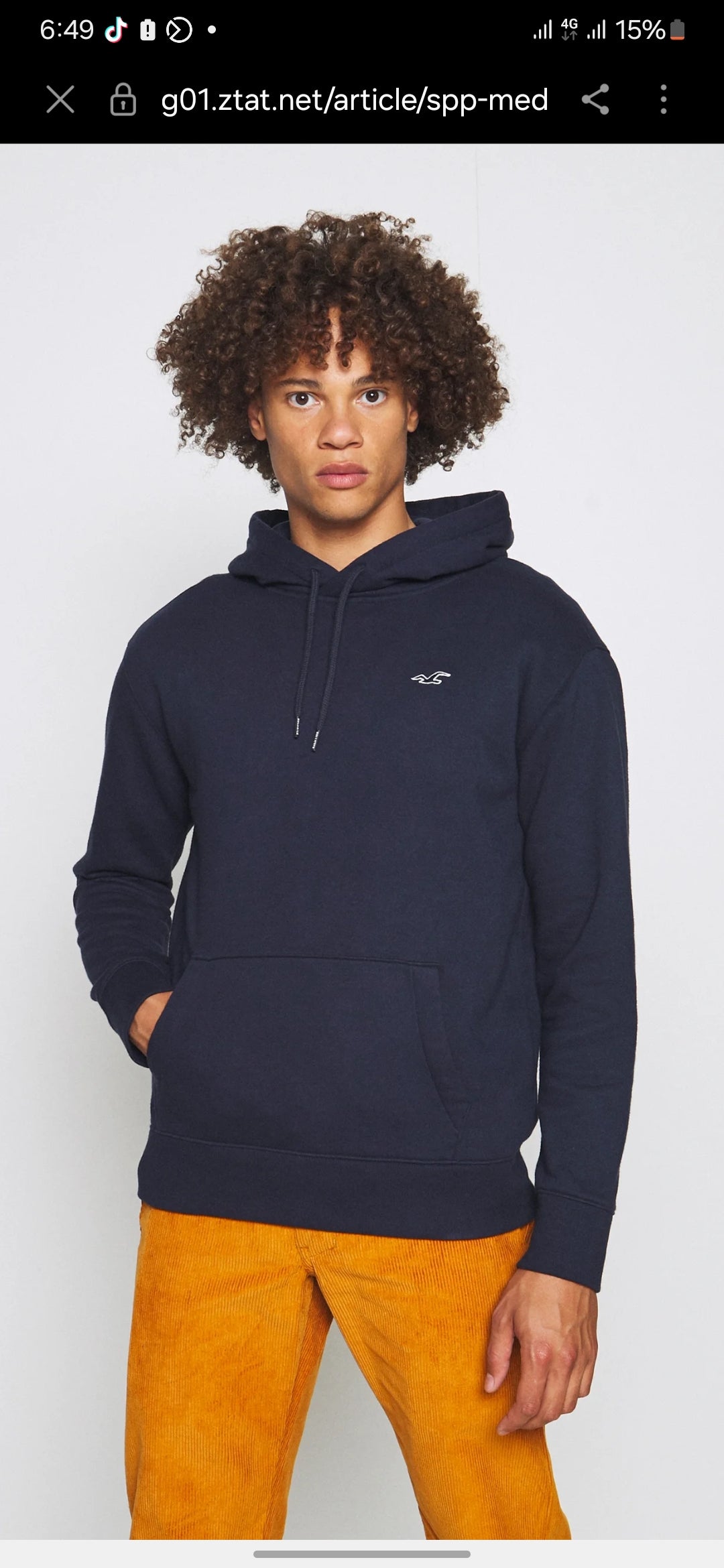 HOLLISTER RELAXED ICON Fleece HOODIE