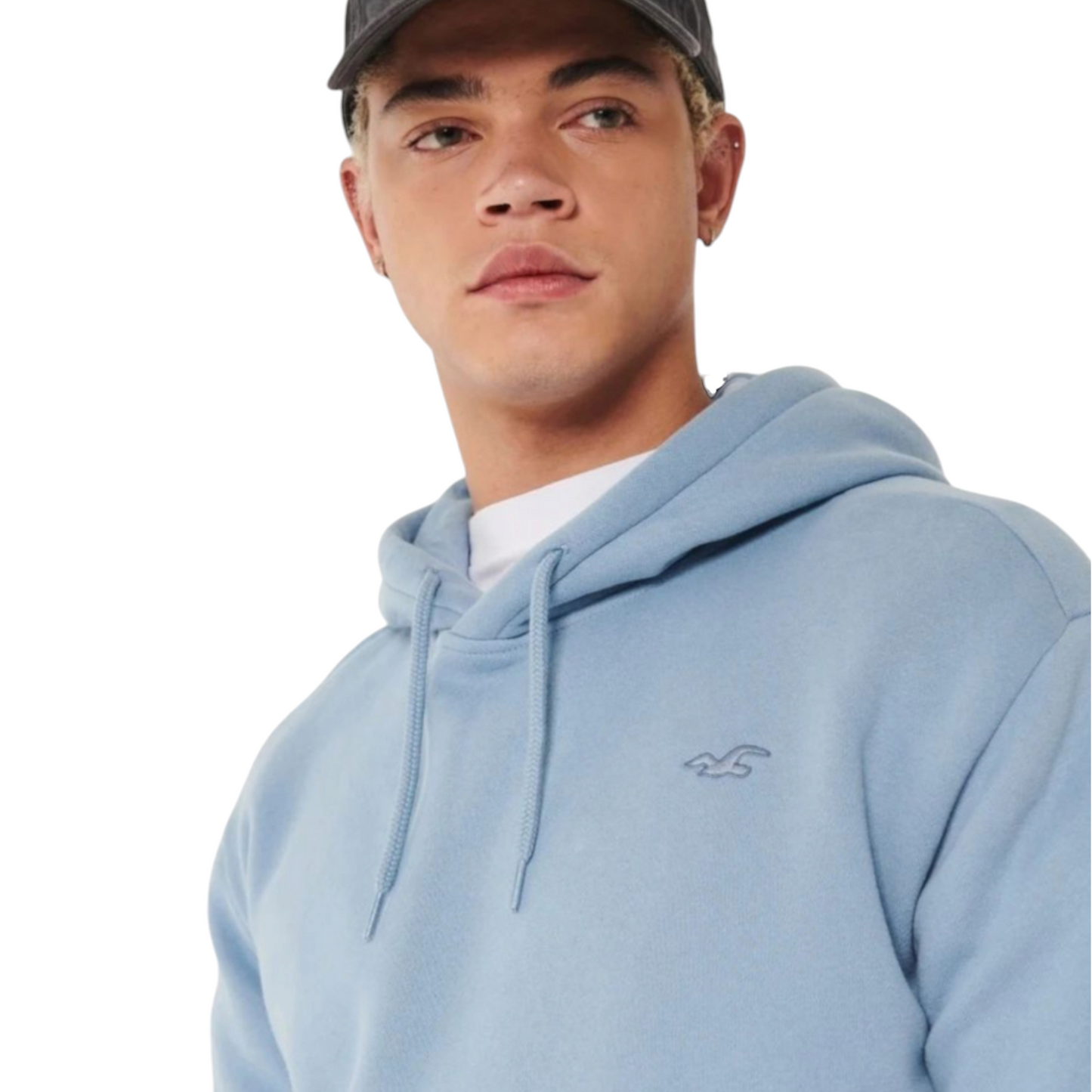 HOLLISTER RELAXED ICON HOODIE