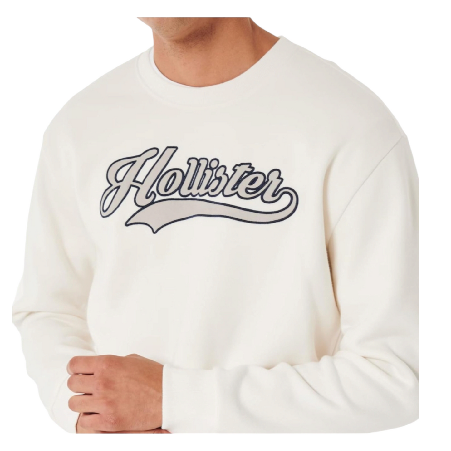 HOLLISTER ROUND CENTRAL LOGO PRINT