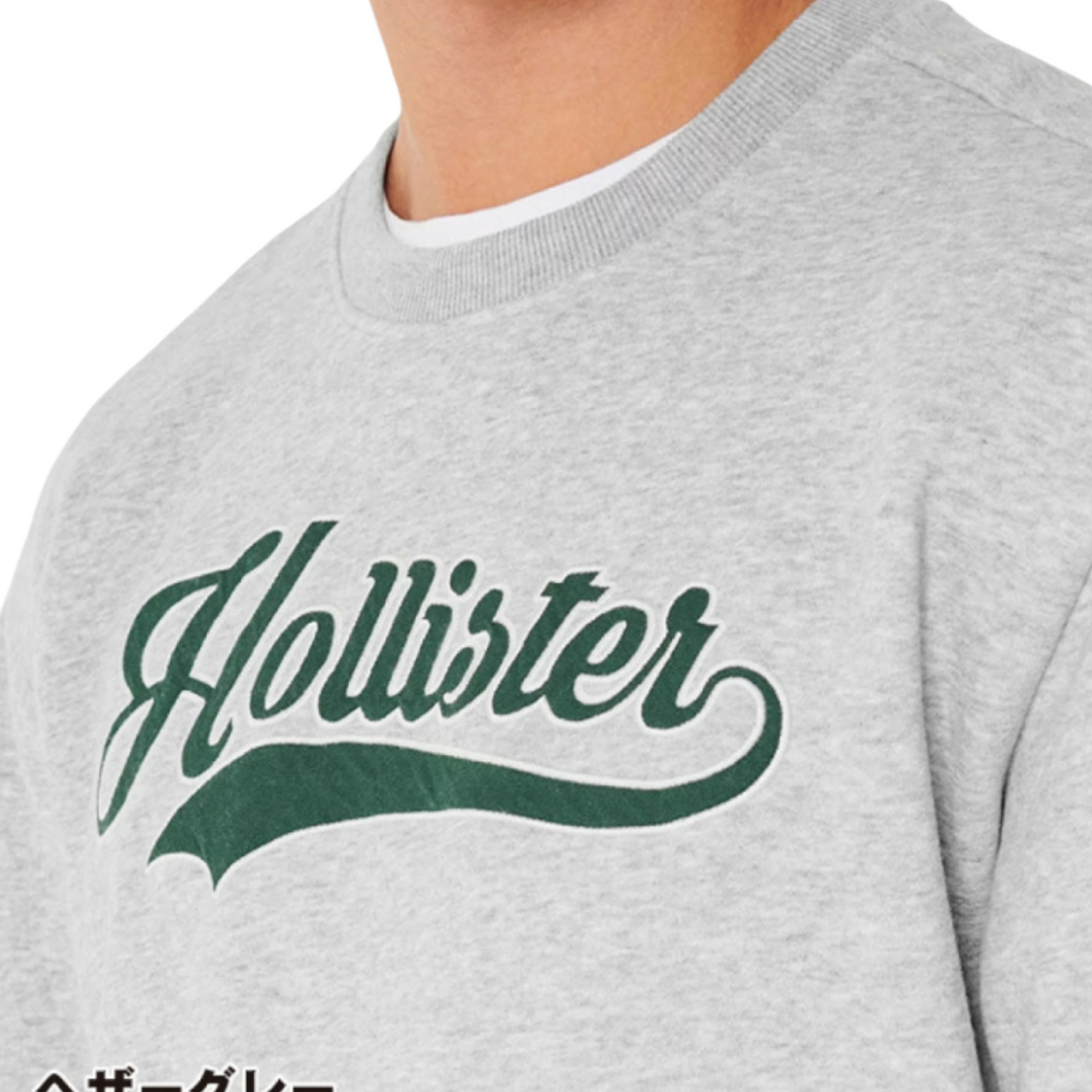 HOLLISTER ROUND CENTRAL LOGO PRINT