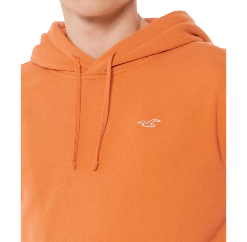 HOLLISTER RELAXED ICON Fleece HOODIE