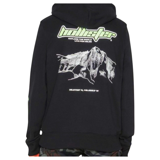 HOLLISTER  GRAPHIC PRINT HOODIE