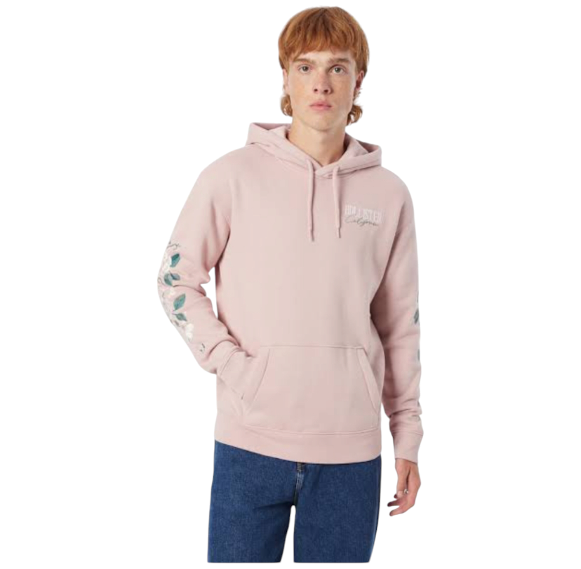 HOLLISTER Sweatshirt in Powder