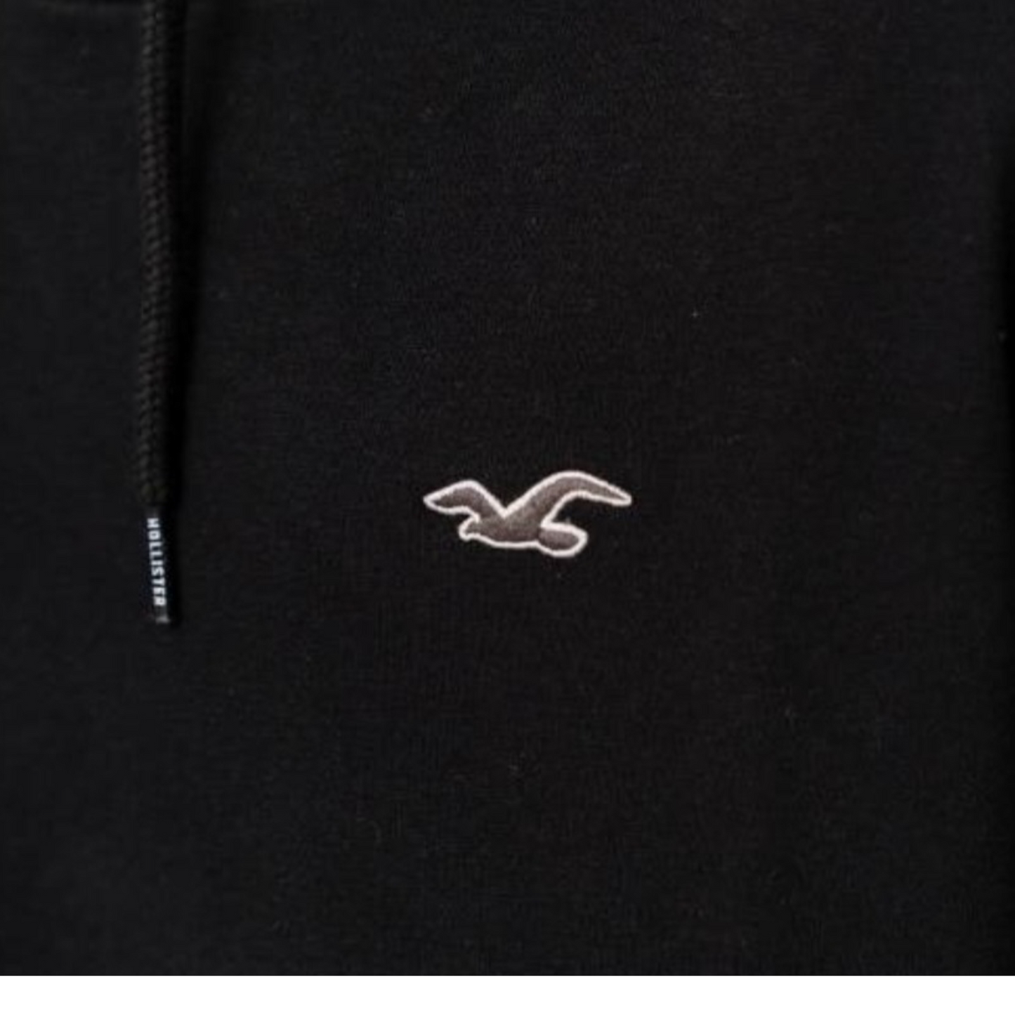 HOLLISTER RELAXED ICON HOODIE