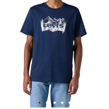 Levi's® Short Sleeve Graphic T-Shirt