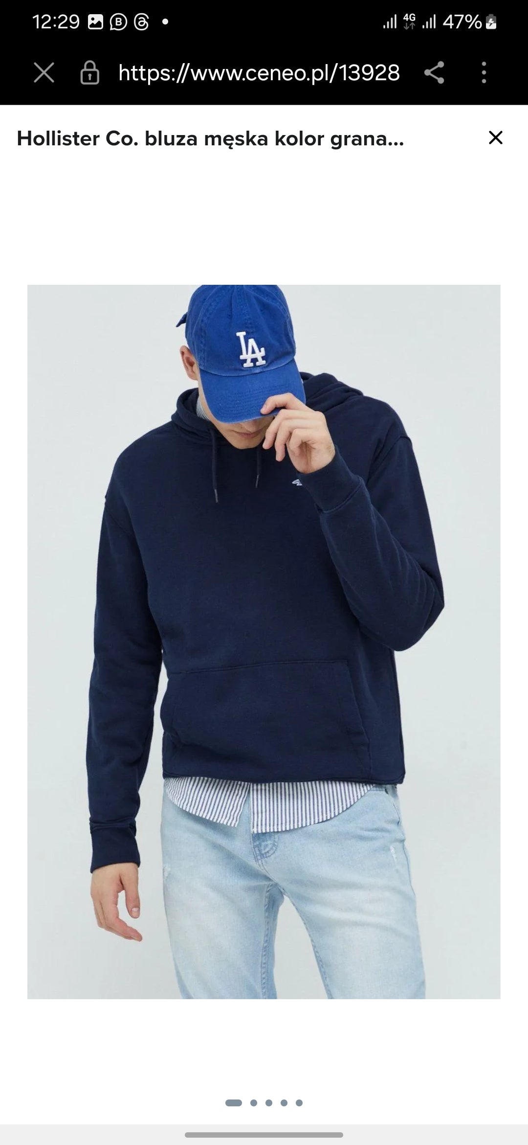 HOLLISTER RELAXED ICON Non- Fleece HOODIE