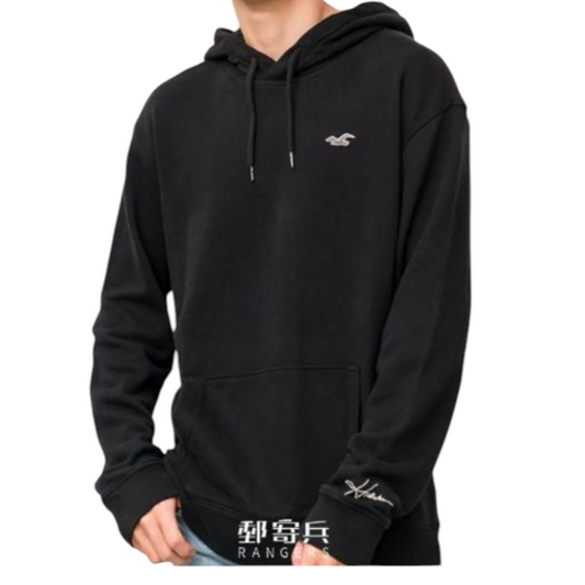 HOLLISTER RELAXED ICON HOODIE