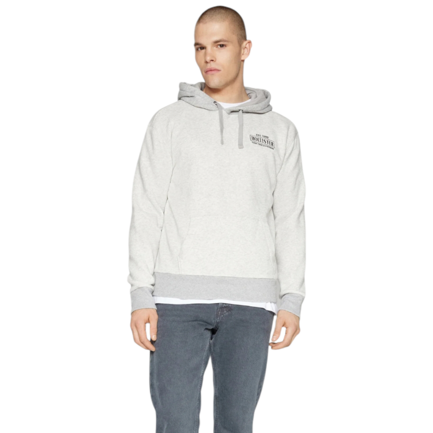 HOLLISTER RELAXED ICON HOODIE